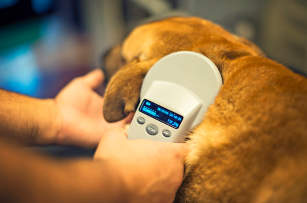 Microchipping pets?