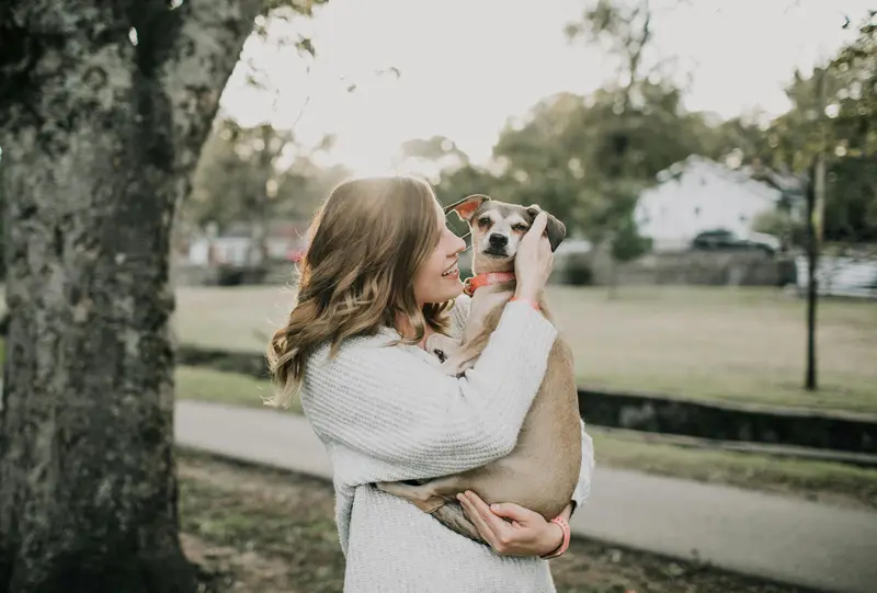 Tail-Wagging Tips for New Dog Owners