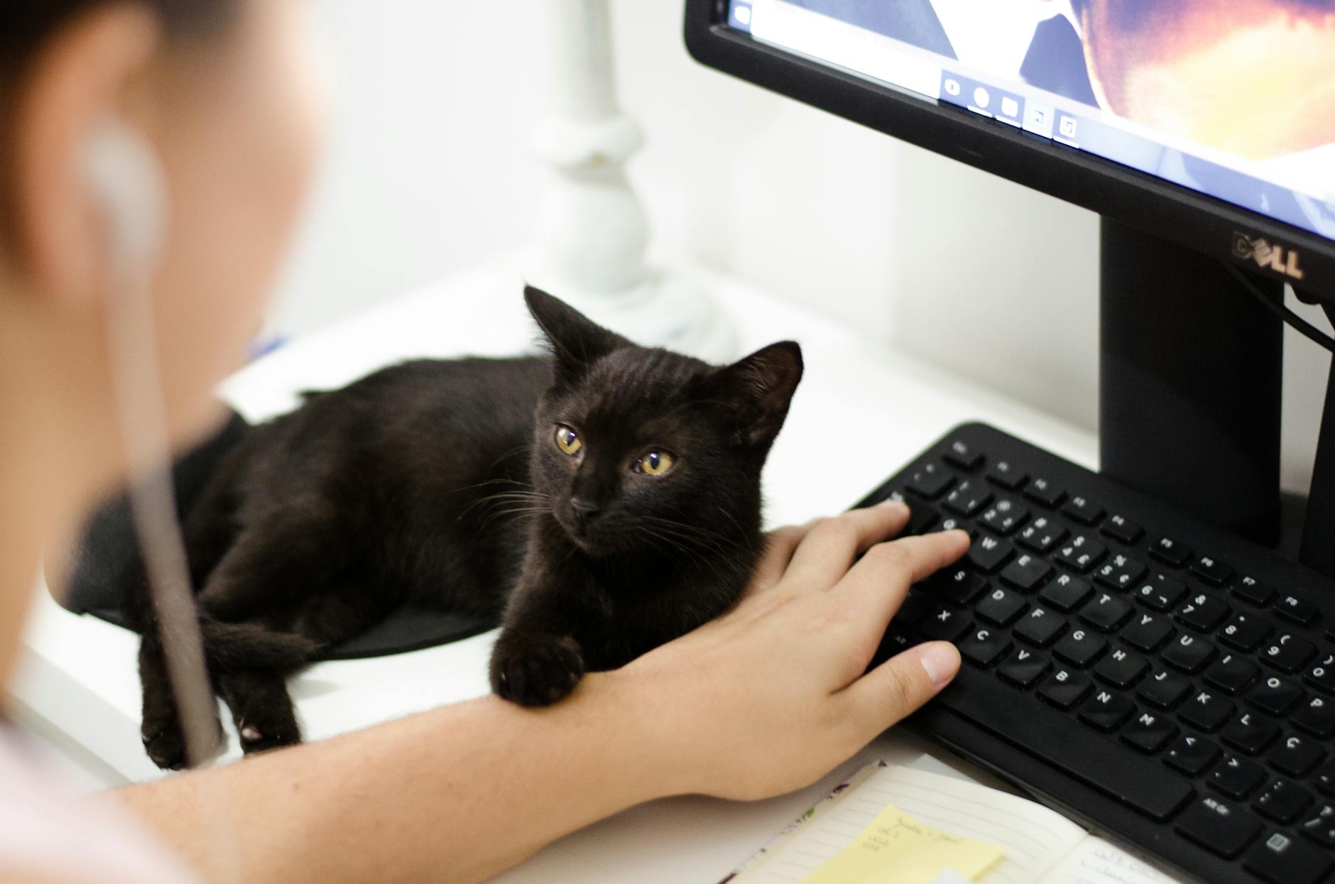 Latest Technology for Pet Care and Monitoring