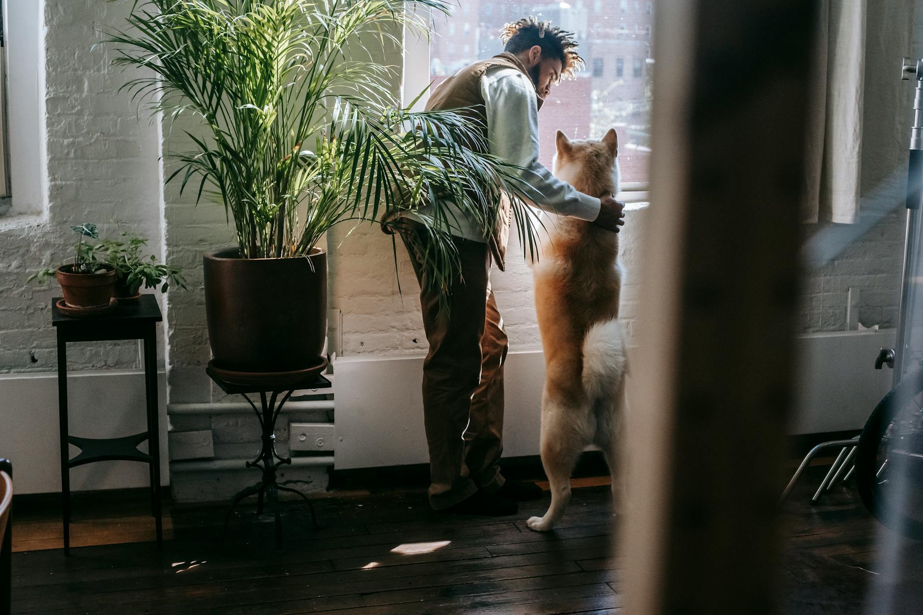 young ethnic guy with curious dog looking out window