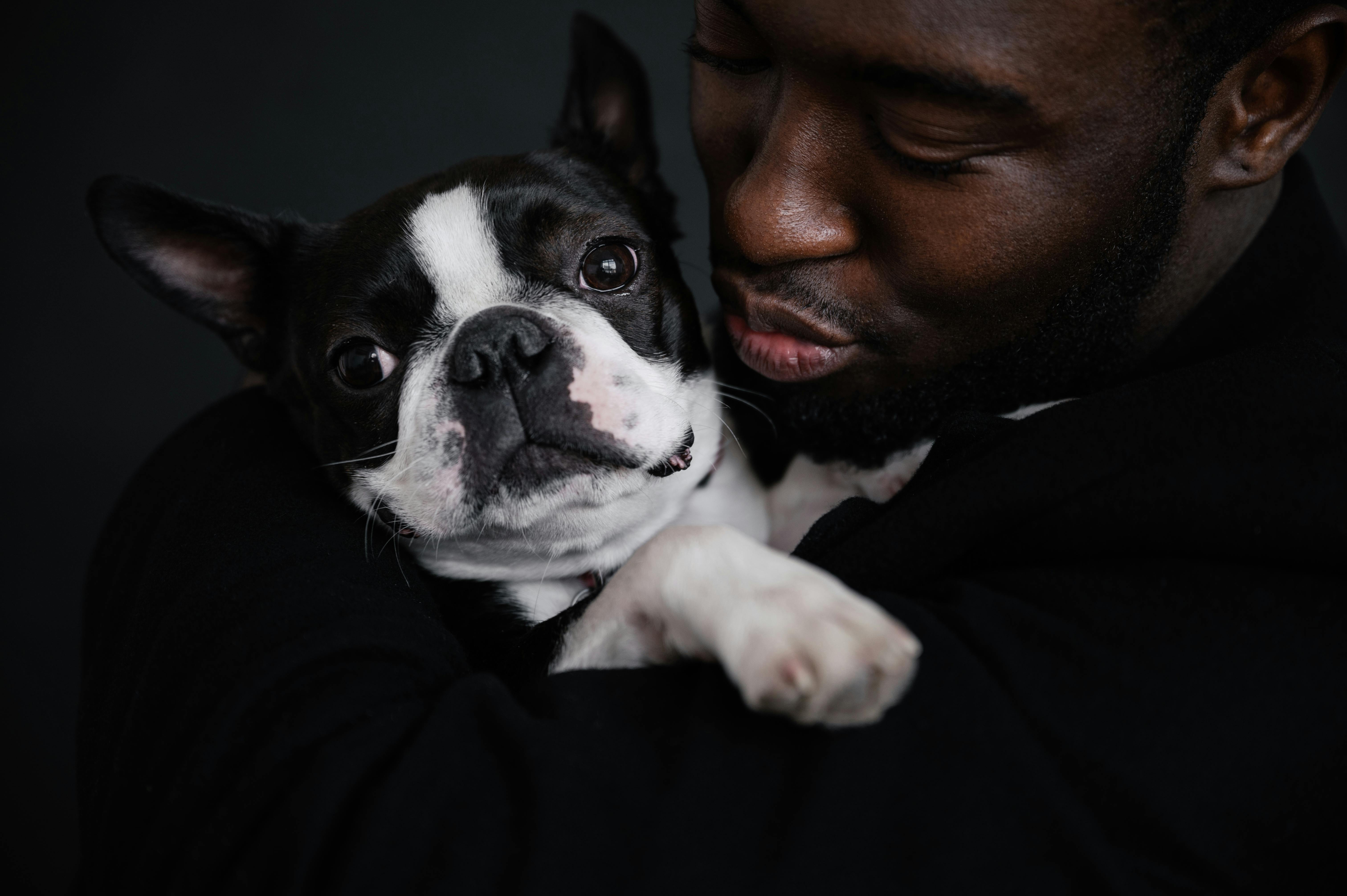 Pet Favoritism: Why Pets Favor One Person