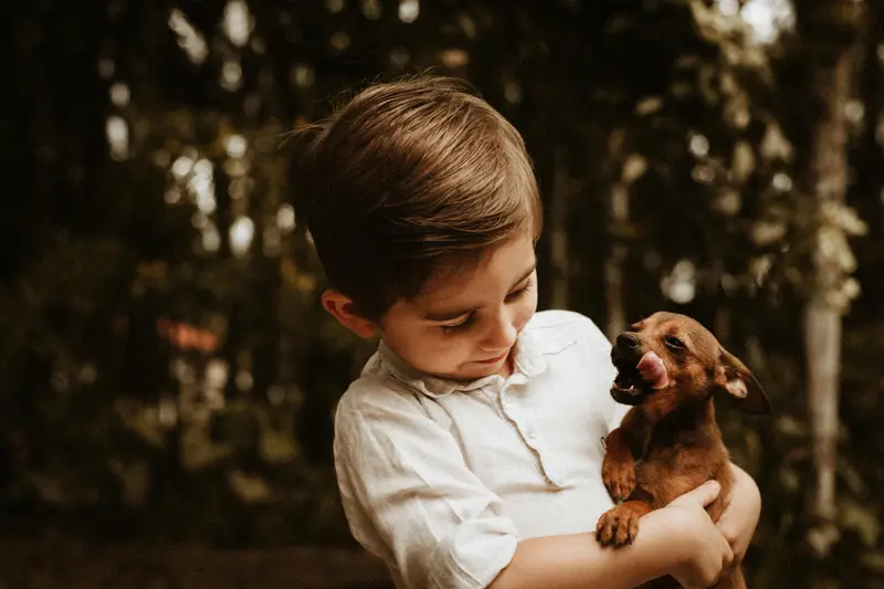 Pets and Child Development