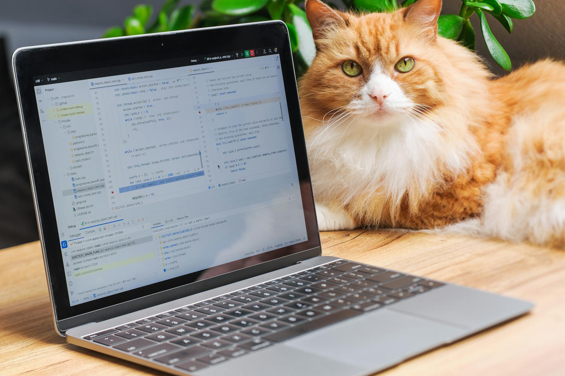 How an Online Vet Visit Can Prevent Emergency Vet Bills